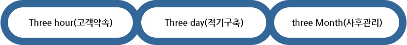 고객약속, 적기구축, 사후관리